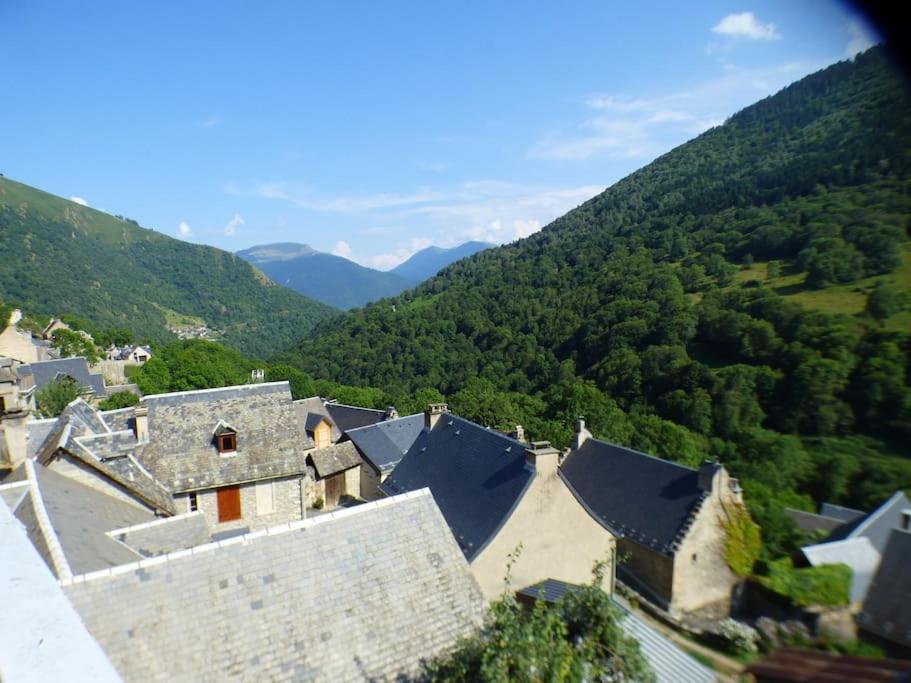 Maison Familiale Pour 8 Saint-Aventin Dış mekan fotoğraf