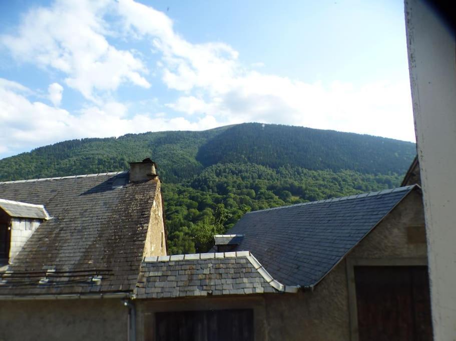 Maison Familiale Pour 8 Saint-Aventin Dış mekan fotoğraf